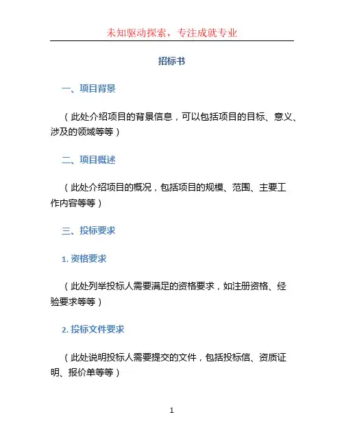 招标书文档