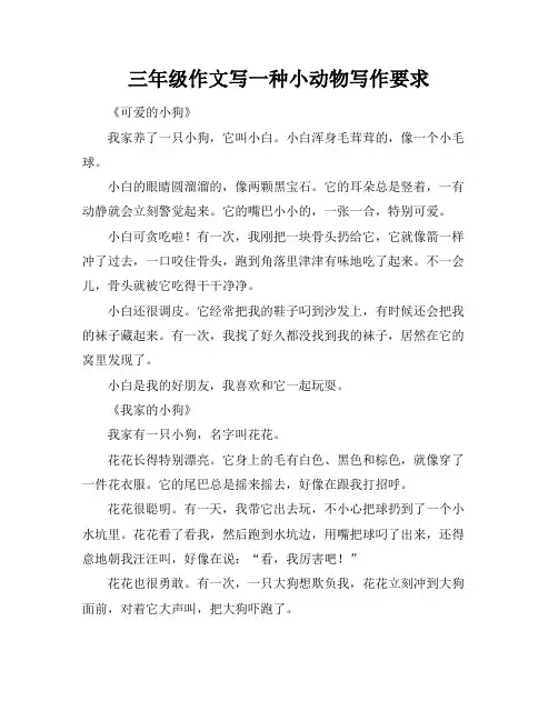 三年级作文写一种小动物写作要求