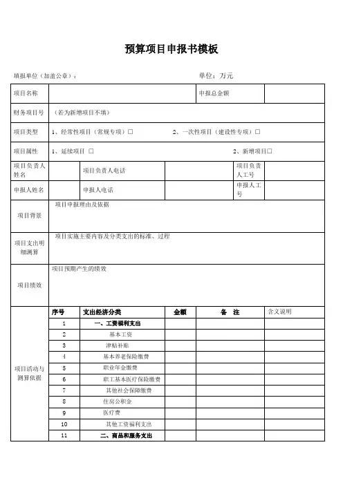 预算项目申报书模板