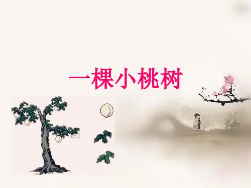 《一棵小桃树》PPT课件(共45张PPT)