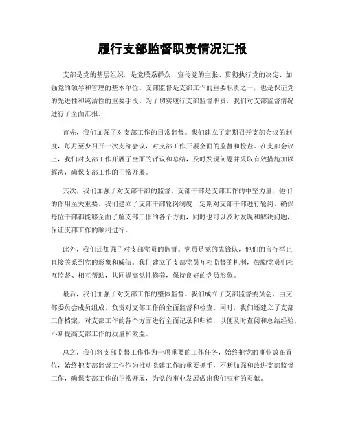 履行支部监督职责情况汇报