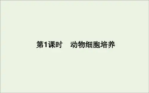 高中生物第2章细胞工程2.1动物细胞培养课件新人教版选择性