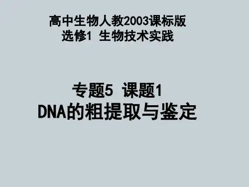 人教版高中生物选修一专题五课题1《DNA的粗提取与鉴定》课件(共18张PPT)