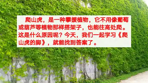 语文四年级上册10 爬山虎的脚