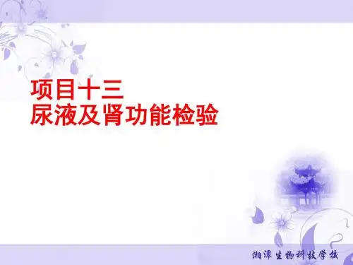 第十三章 尿液及肾功能检验