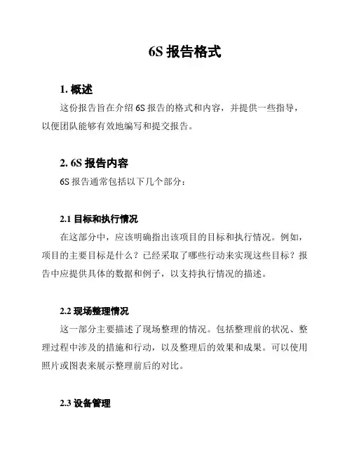 6S报告格式