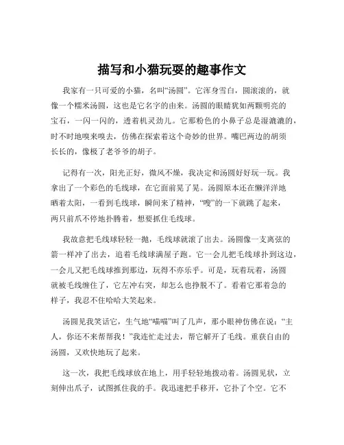 描写和小猫玩耍的趣事作文
