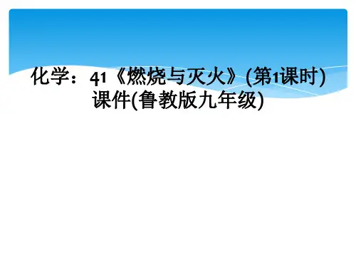 化学：41《燃烧与灭火》(第1课时)课件(鲁教版九年级)