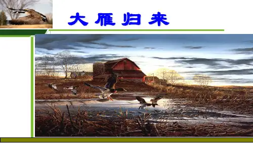 《大雁归来》1
