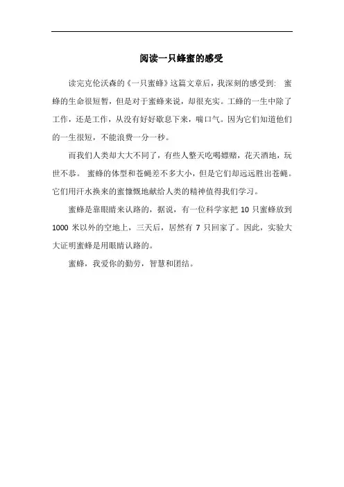 阅读一只蜂蜜的感受