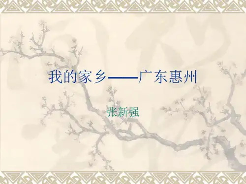 广东惠