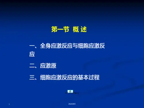 细胞应激反应的