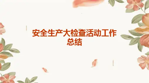 安全生产大检查活动工作总结PPT