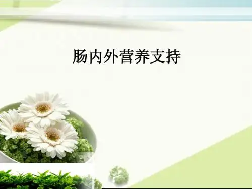 肠内外营养