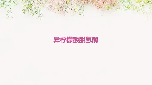 《异柠檬酸脱氢酶》课件