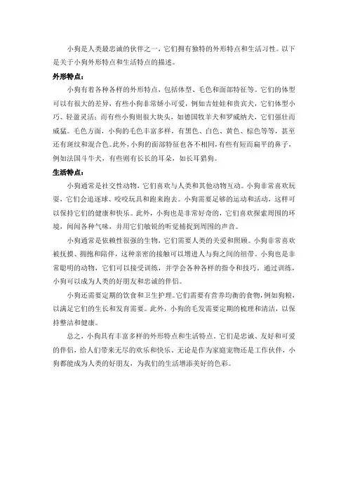 小狗的外形特点和生活特点400字