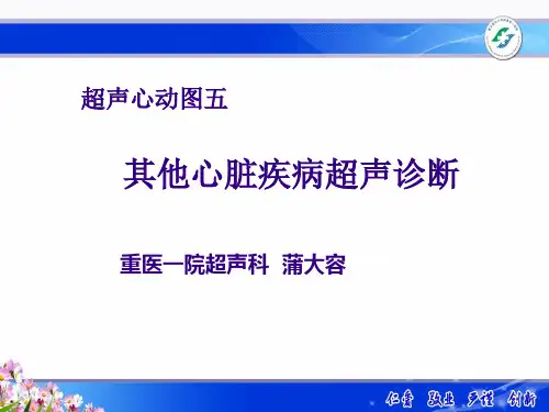 超声心动图五其他心脏疾病超声诊断