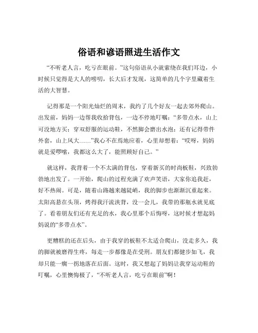 俗语和谚语照进生活作文