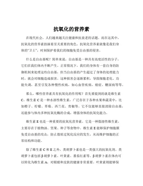 抗氧化的营养素