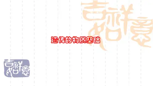 高二生物(下)遗传的物质基础