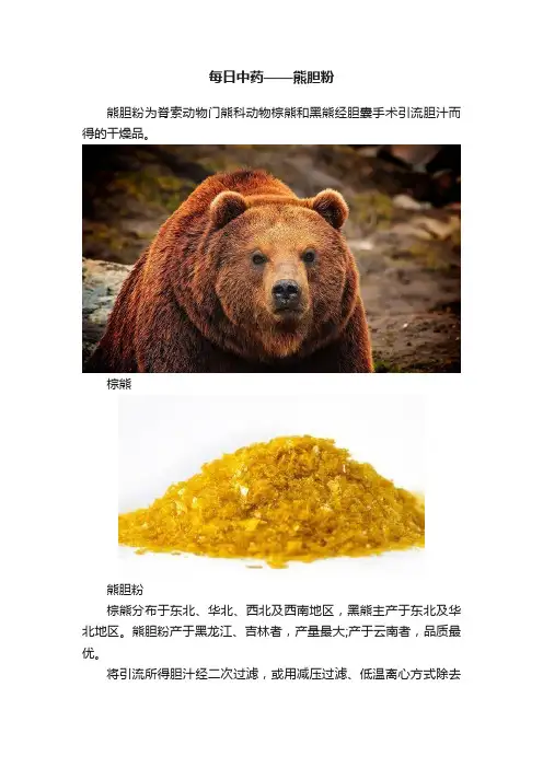 每日中药——熊胆粉