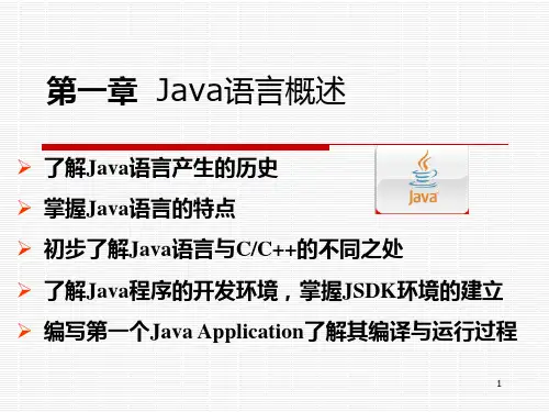 java学习第一章 概述PPT课件