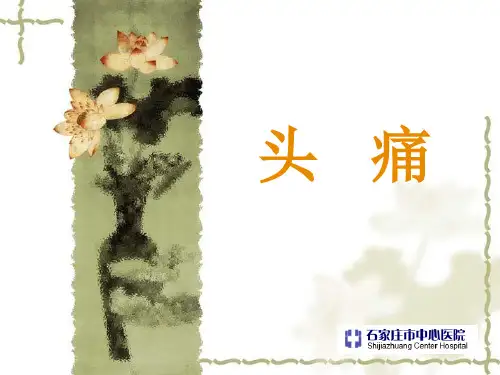 头痛PPT课件