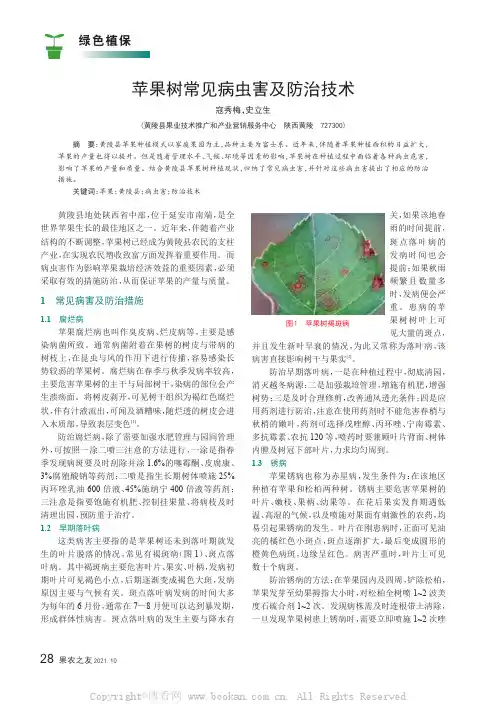 苹果树常见病虫害及防治技术
