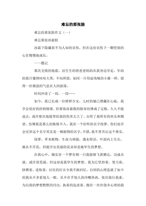 难忘的那张脸--中考满分作文(10篇)