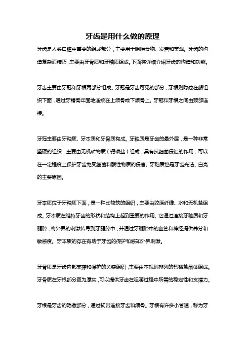 牙齿是用什么做的原理