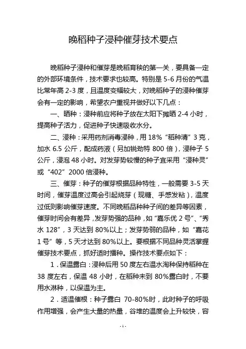 晚稻种子浸种催芽技术要点