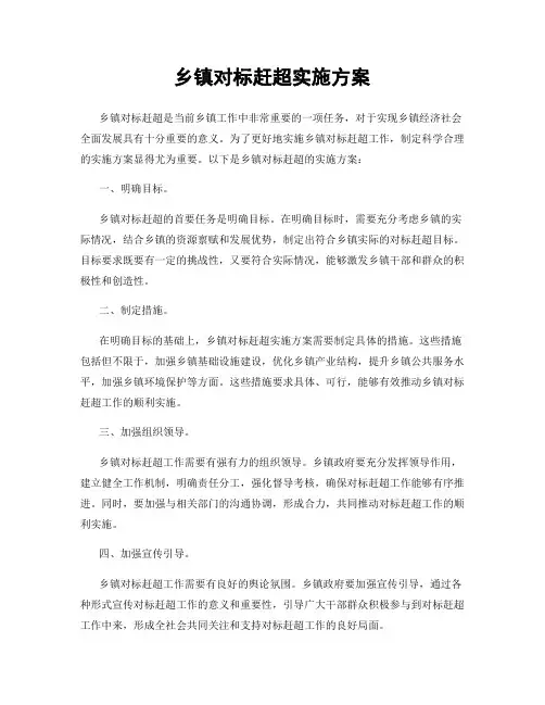 乡镇对标赶超实施方案