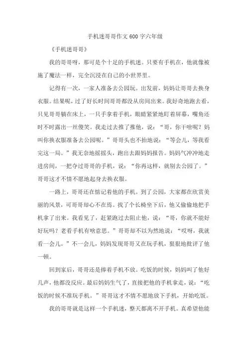 手机迷哥哥作文600字六年级