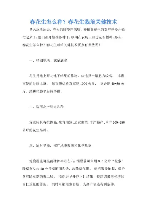 春花生怎么种？春花生栽培关健技术