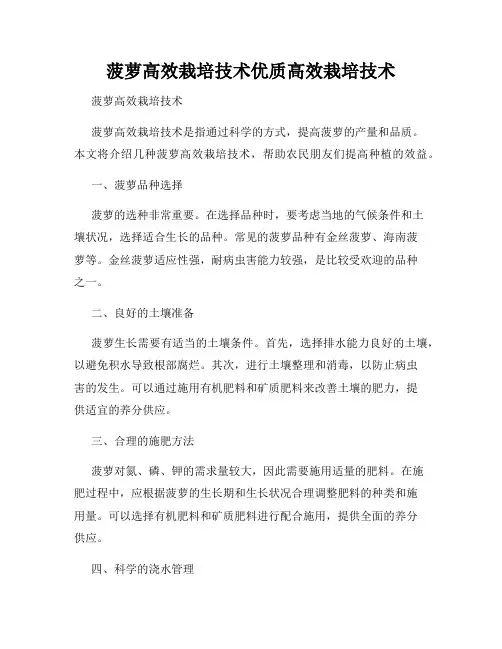 菠萝高效栽培技术优质高效栽培技术