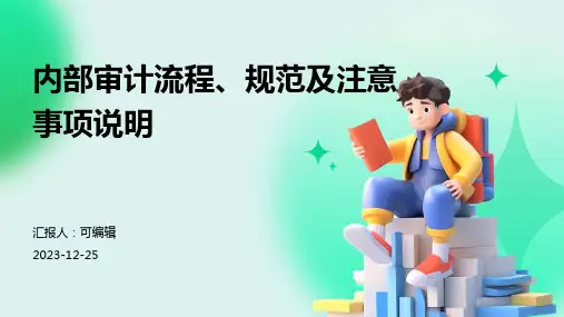 内部审计流程、规范及注意事项说明