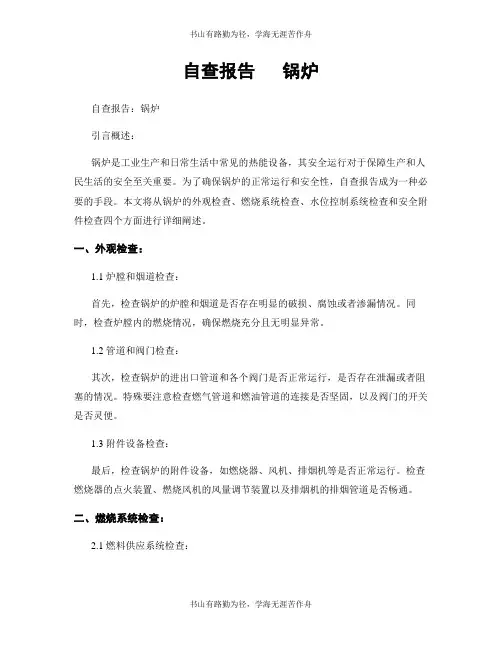 自查报告   锅炉