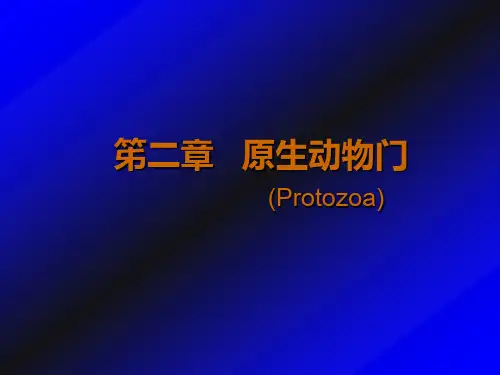 原生动物门