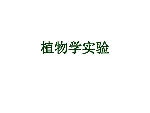 实验二、细胞