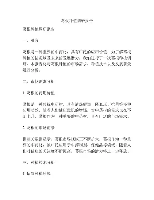 葛根种植调研报告