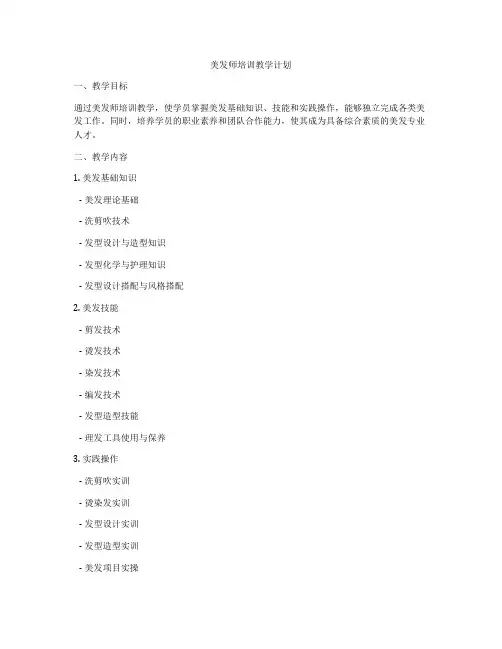 美发师培训教学计划