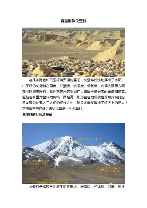 真真假假戈壁料