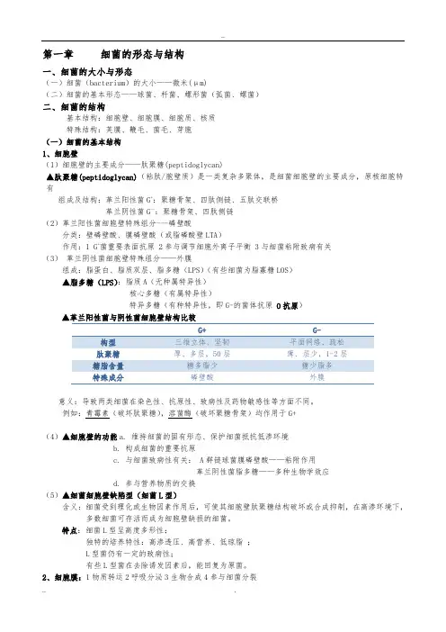 微生物细菌部分笔记整理