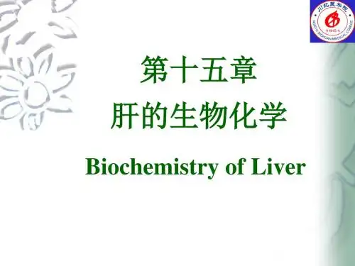 第十五章肝的生物化学