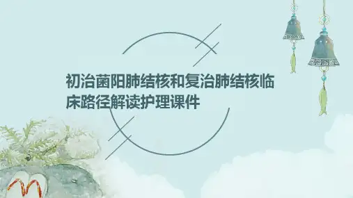 初治菌阳肺结核和复治肺结核临床路径解读护理课件
