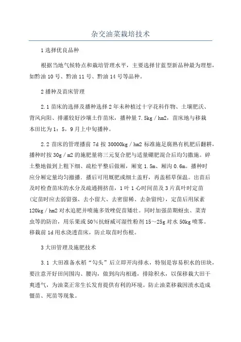 杂交油菜栽培技术