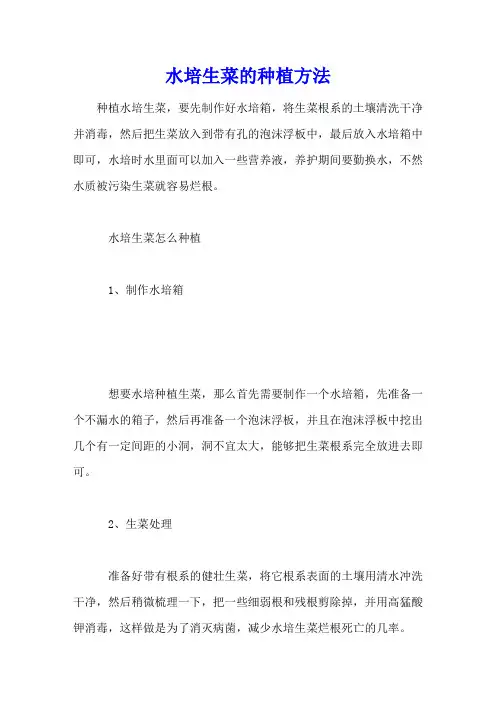 水培生菜的种植方法