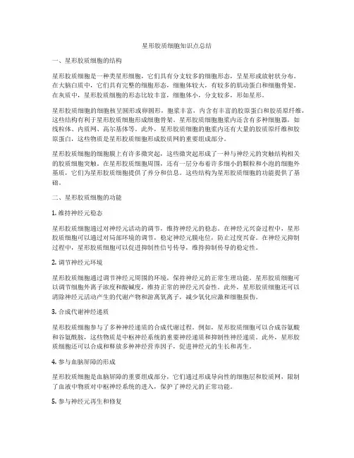 星形胶质细胞知识点总结