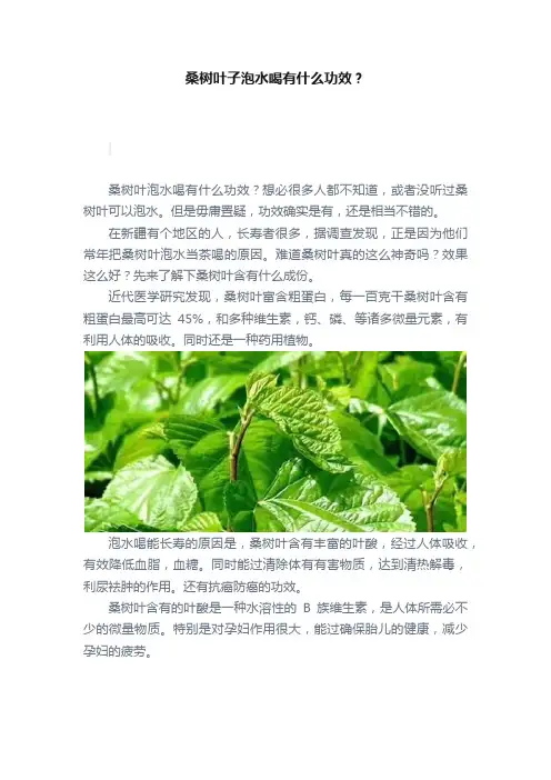 桑树叶子泡水喝有什么功效？