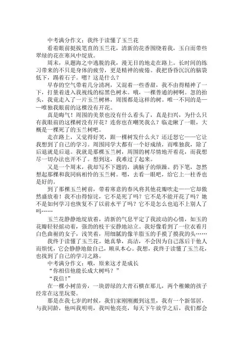 2019年中考满分作文解析精选